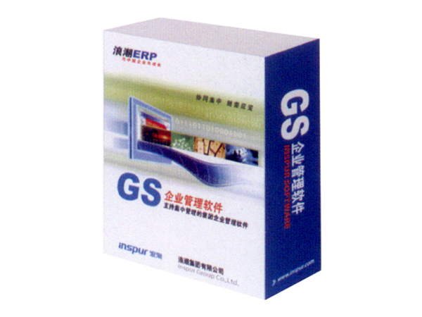 浪潮ERP-GS